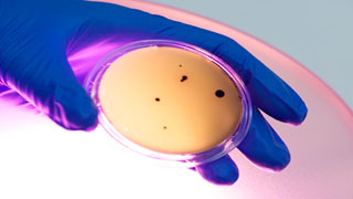 Sistemas de desinfección de Agua mediante luz Ultra Violeta